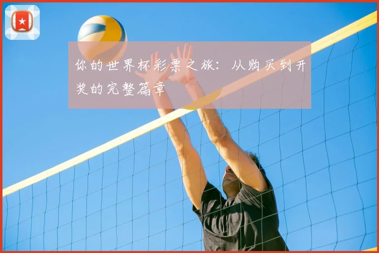 你的世界杯彩票之旅：从购买到开奖的完整篇章