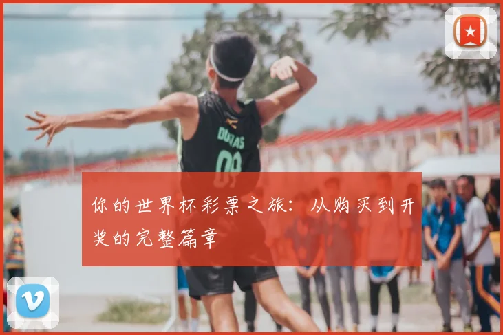 你的世界杯彩票之旅：从购买到开奖的完整篇章