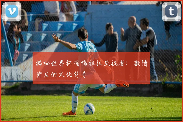 揭秘世界杯呜呜祖拉庆祝者：激情背后的文化符号