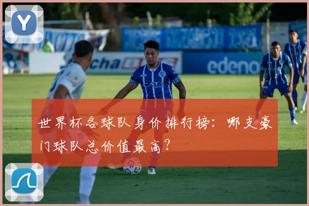 世界杯各球队身价排行榜：哪支豪门球队总价值最高？