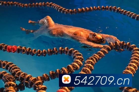 hth华体网页版服务体系